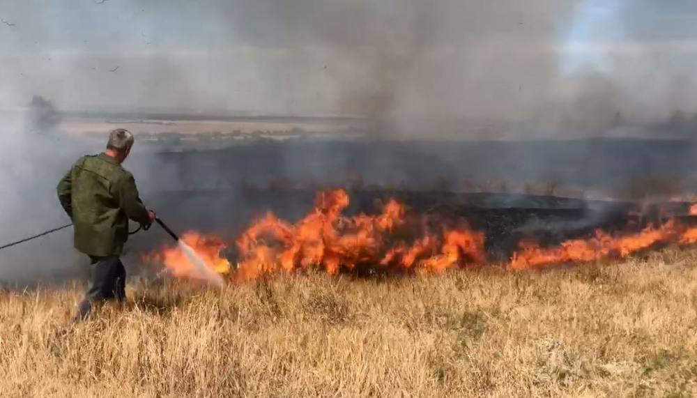 Более двух гектаров леса погибло в огне в Саратовской области