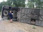 ДТП с автобусом в Калининском районе: авария произошла из-за выбежавшего на дорогу дикого животного