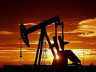 Нефтяная компания нанесла многомиллионный ущерб почвам в Саратовской области