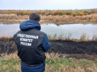 Рыбак сгорел во время пожара в камыше в Саратовской области