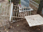 В Саратовской области неизвестные разграбили могилы на городском кладбище