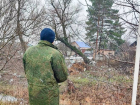 33-летнего мужчину нашли мертвым в Саратовской области 