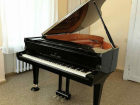 Саратовская консерватория закупила 8 элитных японских роялей и 5 пианино 