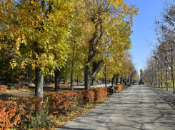 В понедельник воздух в Саратовской области прогреется до 18 градусов
