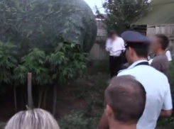 Трое жителей Энгельса выращивали коноплю на приусадебном участке