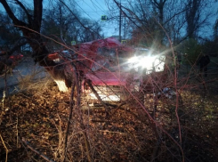 Смертельное ДТП в Энгельсе: рано утром иномарка врезалась в дерево 