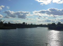 Бобры и рыба погибли, и саратовский пруд снова наполнился водой