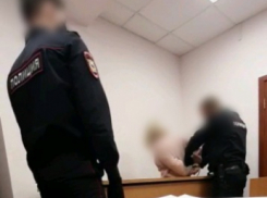 Прокуратура просит для саратовской учительницы, зверский убившей женщину и ребенка 24 года колонии