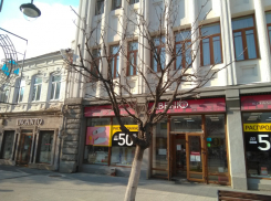 На проспекте Кирова в Саратове погибли 64 дерева: их решено заменить вязами