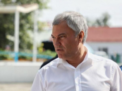 «Время пошло!»: Володин — о будущих школах в Ласточкино и Иволгино 