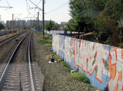 ПривЖД обеспокоена ростом вандализма в отношении подвижного состава и оборудования