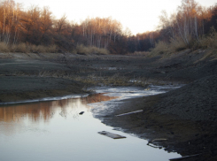 Саратовцы бьют тревогу из-за пересыхания водоемов