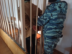 В Энгельсском садовом товариществе сторожа убили за плохую работу