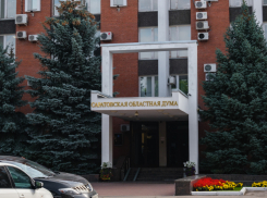 Саратовские парламентарии одобрили сокращение числа депутатов облдумы