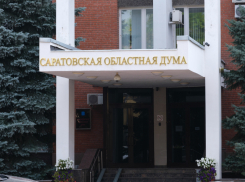 Саратовских депутатов теперь будут штрафовать за демонстрацию плакатов на заседаниях думы
