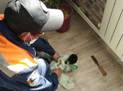 В Ершове спасли застрявшую в батарее кошку