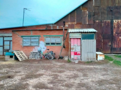 Опаленный труп сторожа был обнаружен на саратовской ферме 