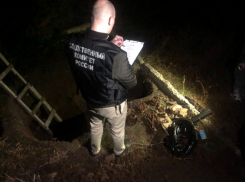 Дачники в Саратове выкопали человеческие кости на своем участке