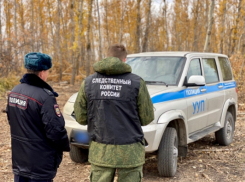 Лесоруба убило веткой в Саратовской области