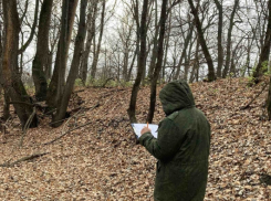 В Саратовской области лесничий нашел человеческий череп