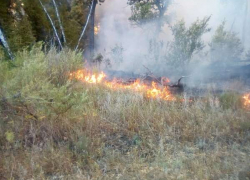 Пожар в Саратовском лесничестве тушили почти сутки