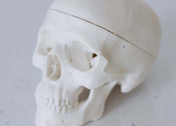 Саратовец откопал под фундаментом череп человека: его проверят по базе без вести пропавших