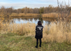 В Саратовской области из реки извлекли тело 67-летнего утопленника