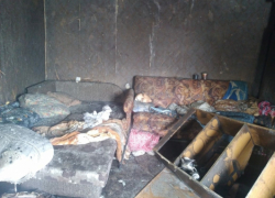  Двое взрослых и двое детей погибли при пожаре в Саратовской области 