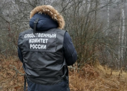 В лесу под Саратовом снова нашли человеческие кости