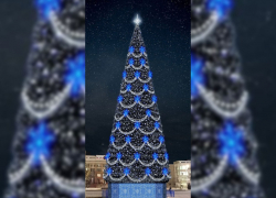 Ни одно дерево не пострадает. На главной площади Саратова появится новогодняя чудо-ель