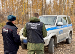 Лесоруба убило веткой в Саратовской области