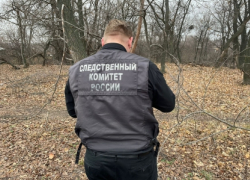 Пропавший в ноябре саратовец найден мертвым в лесу