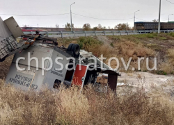 В Саратовской области «Мерседес» перевозил 5 лошадей и улетел в кювет