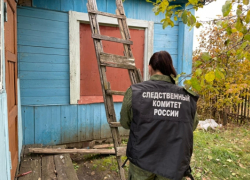 Пожилой дачник упал с дерева в Саратовской области