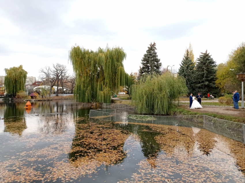 Золотая осень в саратовском городском парке