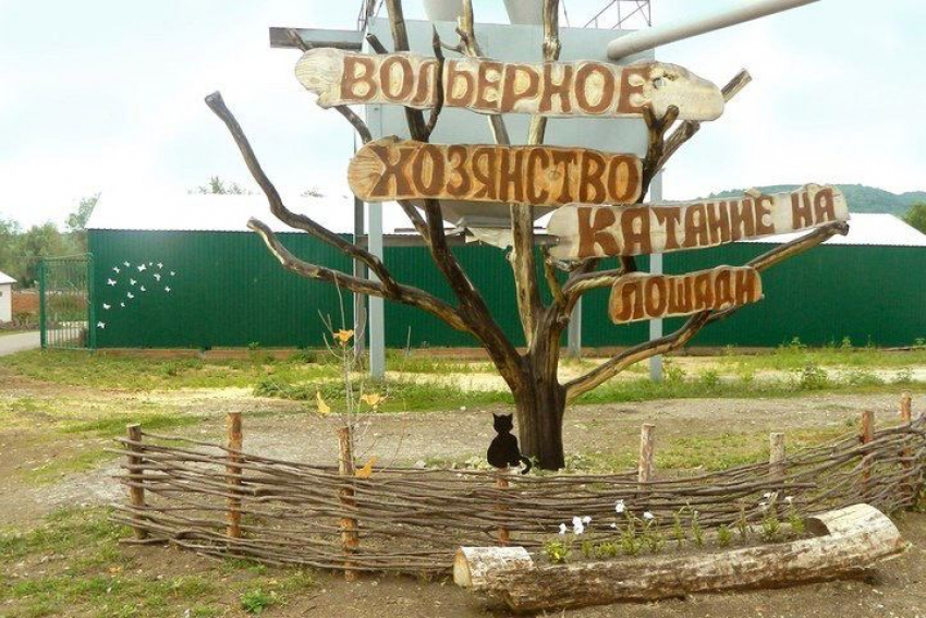 За использование животных без лицензии нацпарк «Хвалынский» оштрафовали на 40 тысяч рублей