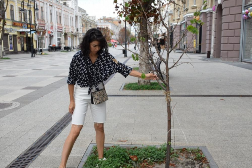 Екатерина Захарченко: «Жители болезненно воспринимают, когда удаляется много деревьев»