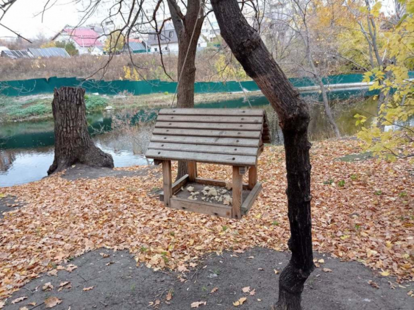 В среду в Саратовской области потеплеет до 12 градусов