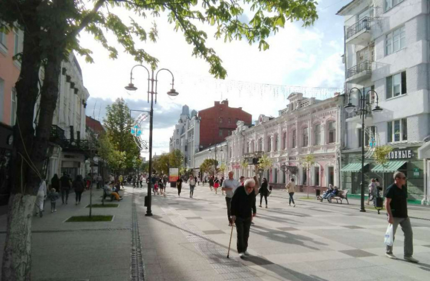 Массовая драка молодых людей с полицейскими на проспекте Кирова: разыскиваются свидетели
