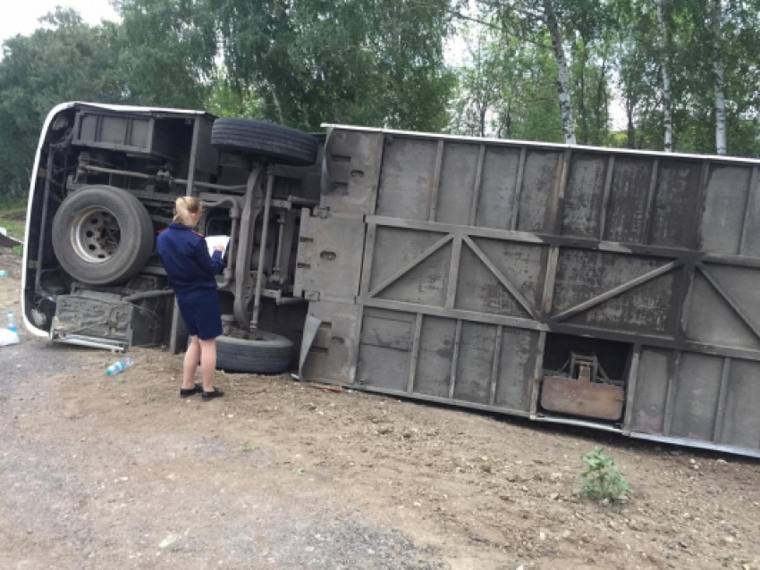 ДТП с автобусом в Калининском районе: авария произошла из-за выбежавшего на дорогу дикого животного