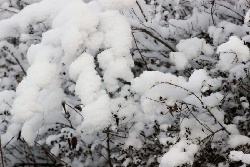 В субботу в Саратовской области ожидается снегопад и гололедица